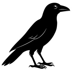 Crow silhouette vector isolated on white background