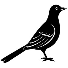 Cuckoo silhouette vector isolated on white background