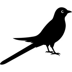 Cuckoo silhouette vector isolated on white background