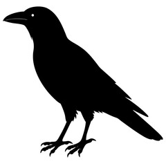Crow silhouette vector isolated on white background