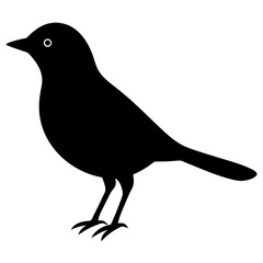 Nightingale silhouette vector isolated on white background