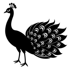 Peacock silhouette vector isolated on white background