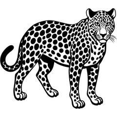 Leopard Black and White Vector Illustration: Bold Wildlife Design in Monochrome