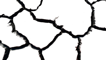 Earth Cracking Cut-out Isolated on Transparent Background
