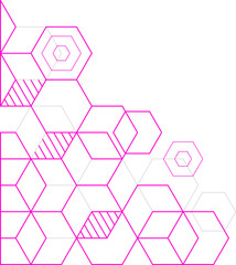 Hexagon Outline Corner