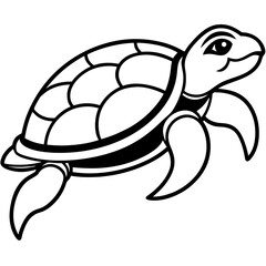 turtle vector illustration