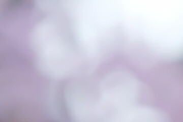 Abstract blur light gradient purple soft pastel color wallpaper background.
