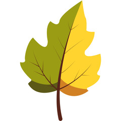 Obraz premium Flat illustration of a fall leaf in green and yellow with brown veins and stem. Perfect for autumn-themed designs, seasonal decorations, nature projects, educational materials, or botanical visuals.