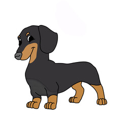 animal, pet, dog, happy, puppy, domestic, canine, cute, isolated, adorable, portrait, doggy, background, sitting, white, friendly, studio, breed, pedigree, looking, cheerful, friend, mammal, vector, f