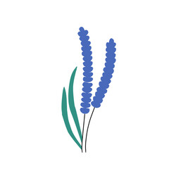 plant, floral, background, vector, flower, design, nature, leaf, illustration, graphic, modern, pattern, abstract, garden, art, summer, spring, set, poster, texture, banner, botanical, card, green, pr