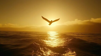Naklejka premium A single seagull's shadow crosses the sea as sunset light casts a warm glow on water