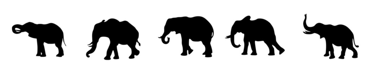 Set of elephant silhouette. vector. editable