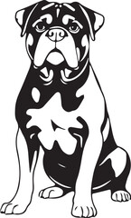 Rottweiler dog. Hand drawn vector illustration