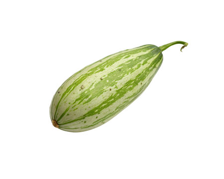 Transparent Snake Gourd Fruit PNG File Free