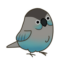 bird, nature, wildlife, background, natural, animal, pattern, design, isolated, white, collection, flight, drawing, sky, group, silhouette, wing, beautiful, illustration, vector, black, fly, freedom, 