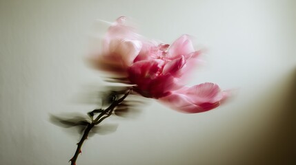 Artistic photo of a pink flower with a blurry effect, set against a neutral background, creating a dreamy mood.