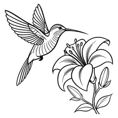 Obraz premium single line drawing of hummingbird hovering while feeding at flower vector illustration