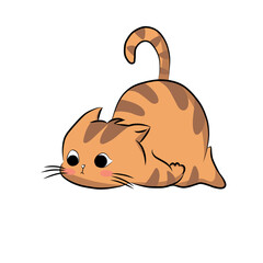 animal, cat, cute, pet, domestic, feline, isolated, kitty, white, mammal, adorable, background, funny, happy, vector, portrait, design, fluffy, playful, beautiful, illustration, kitten, sweet, icon, p