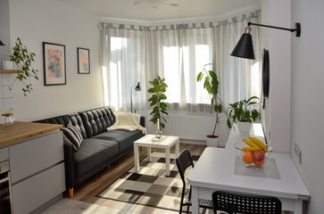 Scandinavian interior style modern studio small apartment in white and grey colors, furniture in living area and kitchen area