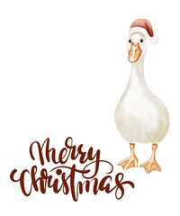 Festive geese in holiday hats with cheerful Christmas greetings for seasonal decoration