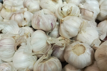 A bunch of white garlic in close-up. Allium sativum. Garlic for cooking spicy dishes. 
