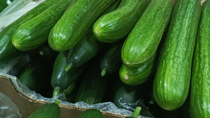 Long greenhouse cucumbers in a cardboard box in the supermarket. Fresh greenhouse cucumbers on the market. Fruit and vegetable trade. 