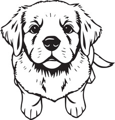 Retriever puppy. Hand drawn vector illustration