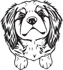 Retriever puppy. Hand drawn vector illustration