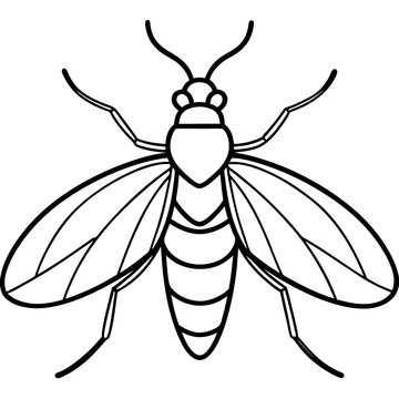 black and white insect with wings clip art preview