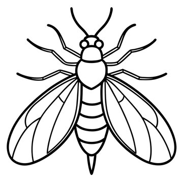 black and white insect outline clip art preview