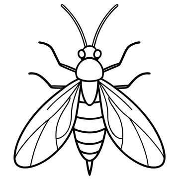 black and white insect outline clip art preview