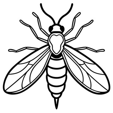 black and white wasp outline clip art preview