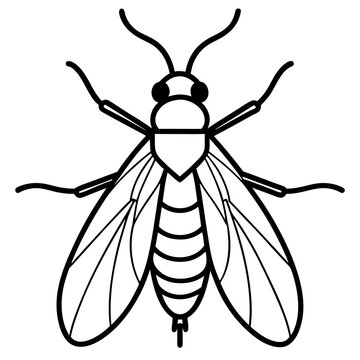 black outline insect with wings clip art preview
