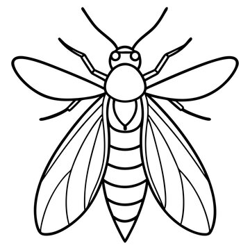 black and white bee outline clip art preview