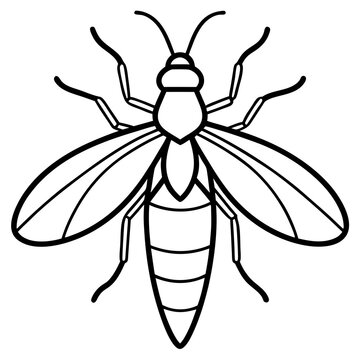 black and white insect outline clip art preview