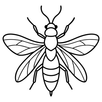 black and white bee outline clip art preview