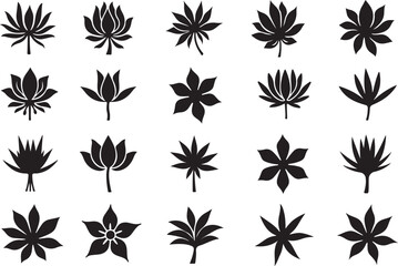 "Vector Petal and Flower Silhouettes Set"