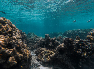 Fototapeta premium SCUBA DIVE THAILANDIA ISLAND KOH TAO KOH ROCK BEACH SNORKEL FLAG LONG BOAT
