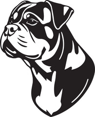 Rottweiler dog. Hand drawn vector illustration