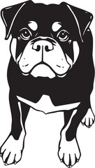 Rottweiler dog. Hand drawn vector illustration