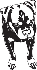 Rottweiler dog. Hand drawn vector illustration