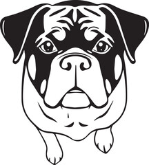 Rottweiler dog. Hand drawn vector illustration