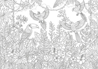 Fototapeta premium Black and white tropical birds among jungle vines and exotic flowers coloring page