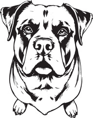Rottweiler dog. Hand drawn vector illustration