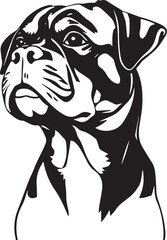 Rottweiler dog. Hand drawn vector illustration
