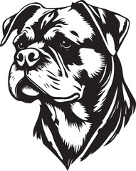 Rottweiler dog. Hand drawn vector illustration