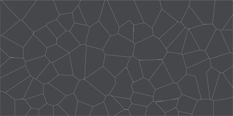 Abstract gray crystalized broken glass and white lines background   Generative algorithm psychedelic. Reaction-diffusion or truing pattern  stone slab smooth tile silver natural for interior decoratio