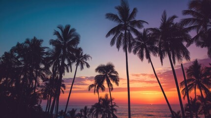 A beautiful sunset over the ocean behind palm tree silhouettes
