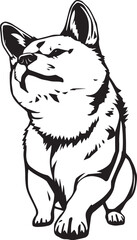 Shiba Inu dog. Hand drawn vector illustration