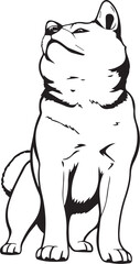 Shiba Inu dog. Hand drawn vector illustration